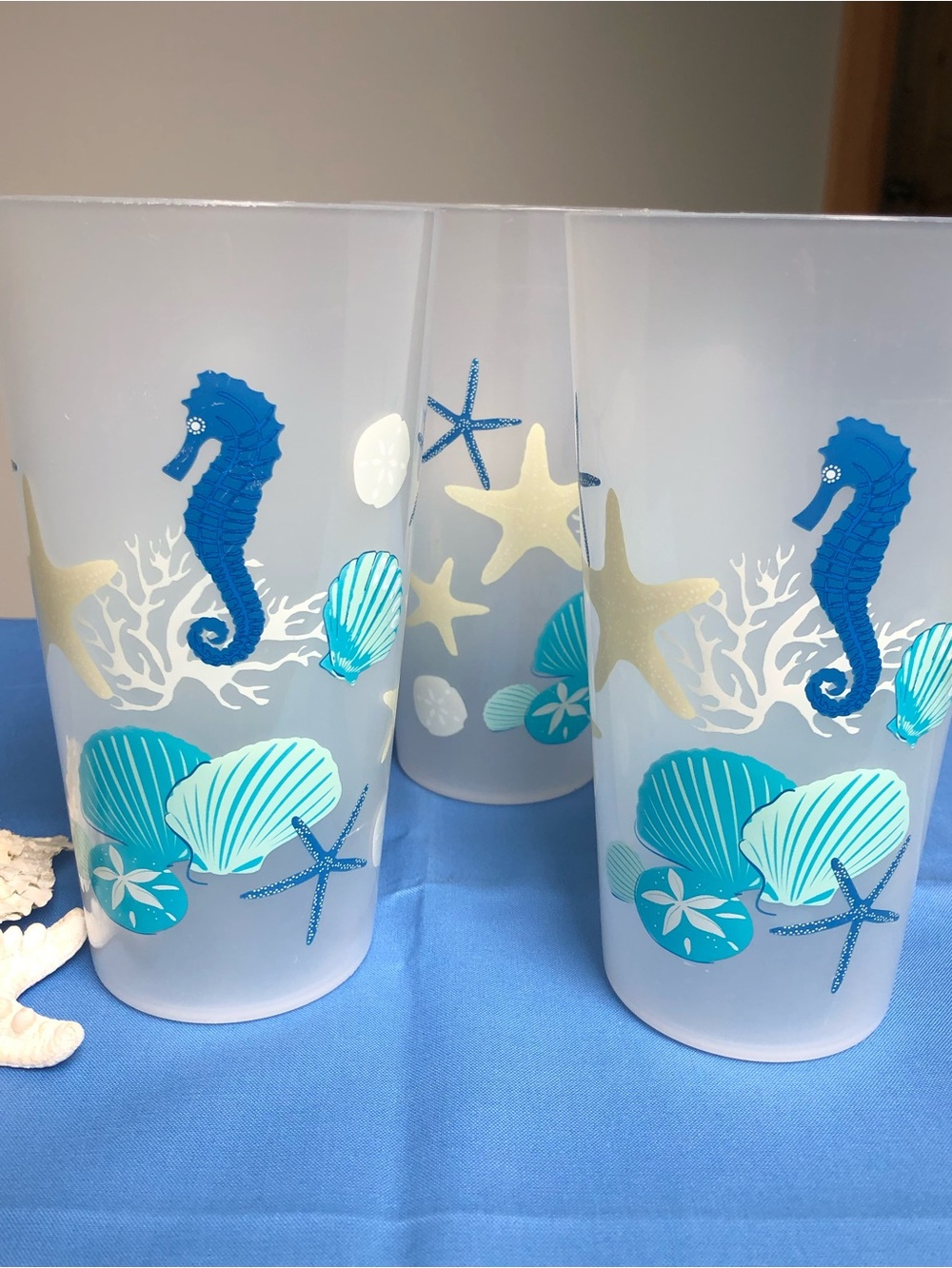 Coastal Ocean Frosted Glass Set